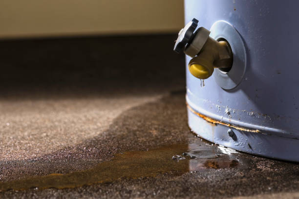 Best Flood restoration services  in Grayson, CA