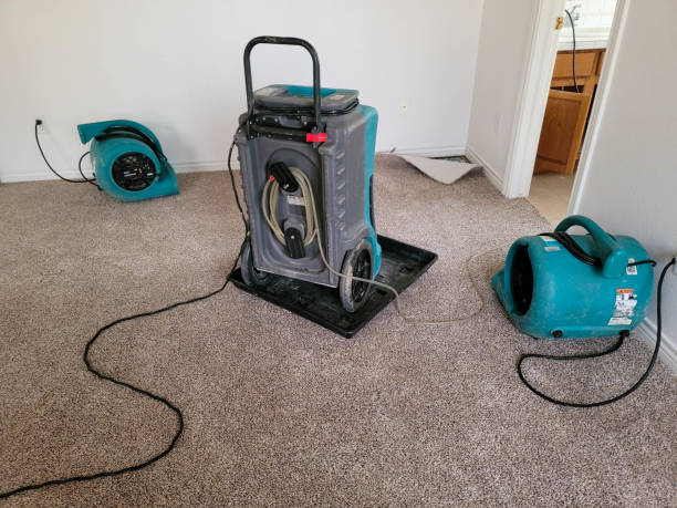Best 24/7 water damage repair  in Grayson, CA