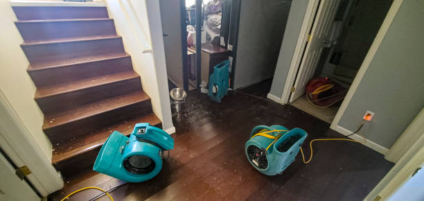 Best Professional water damage repair  in Grayson, CA