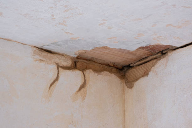 Best Water damage restoration near me  in Grayson, CA