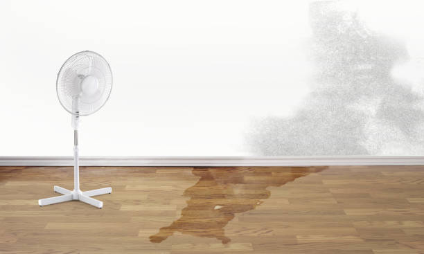 Best Local water damage restoration  in Grayson, CA