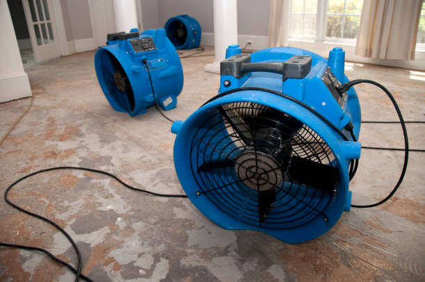 Best Water damage mitigation services  in Grayson, CA