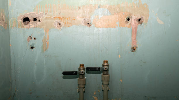 Best Basement water damage restoration  in Grayson, CA