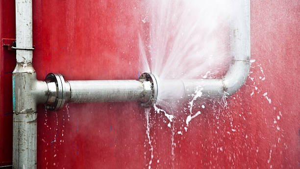 Best Water damage contractors near me  in Grayson, CA